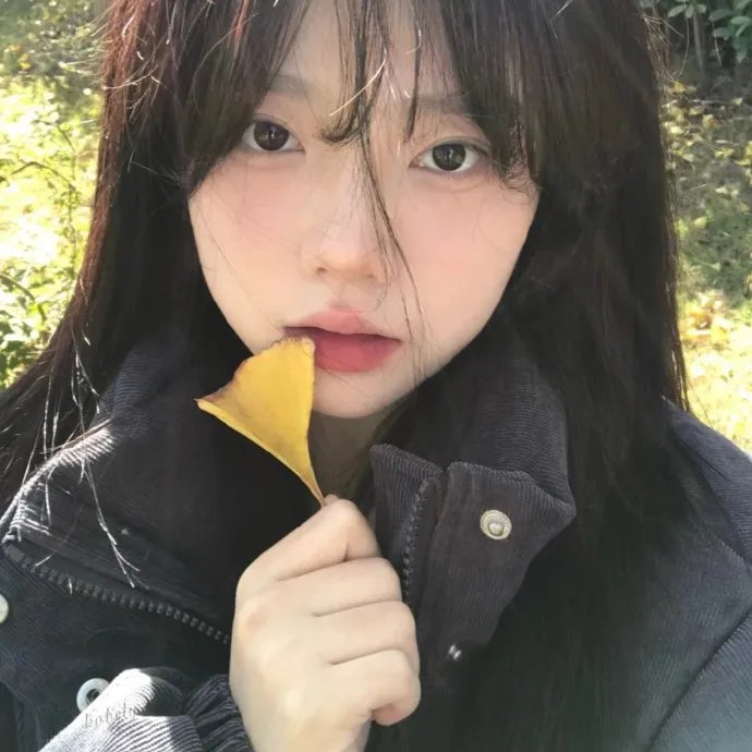 来自普莱恩维尔的女孩