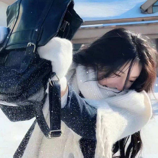 四大家族之龙虎兄弟